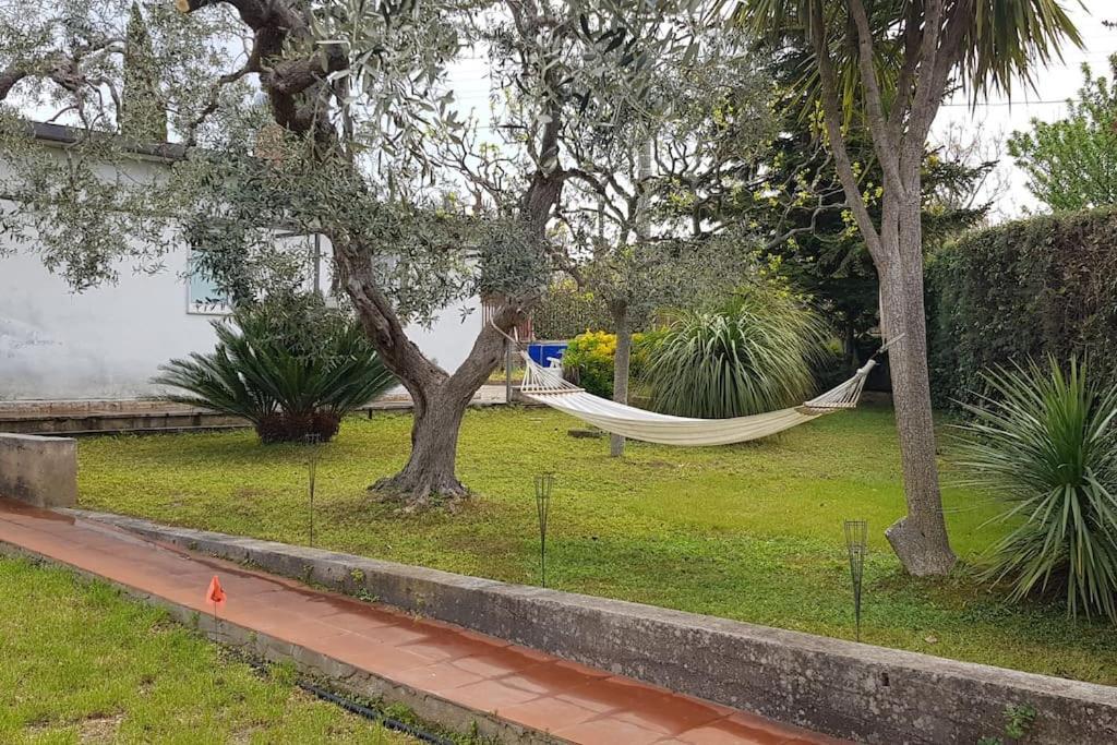 Countryhouse Gli Ulivi Modugno Luaran gambar