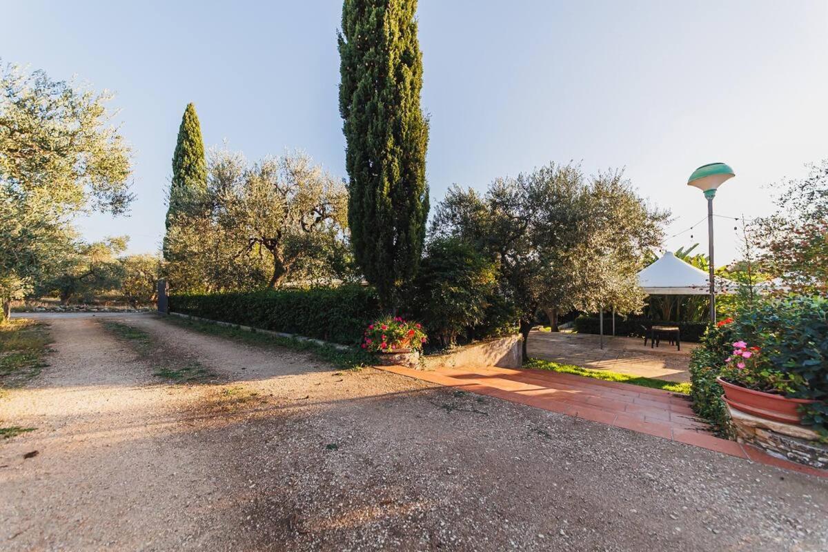 Countryhouse Gli Ulivi Modugno Luaran gambar