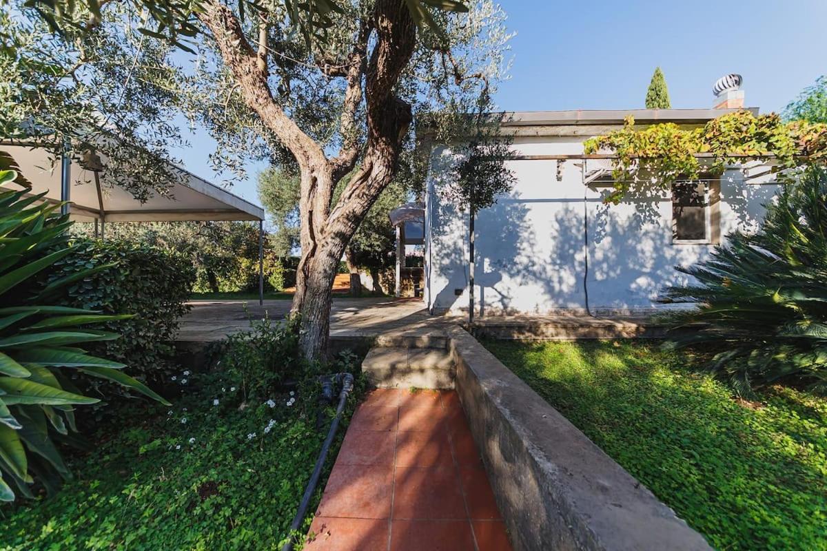 Countryhouse Gli Ulivi Modugno Luaran gambar
