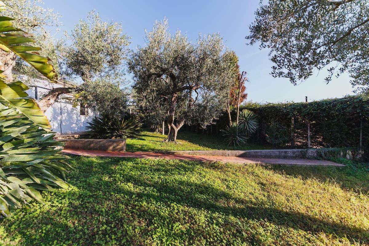 Countryhouse Gli Ulivi Modugno Luaran gambar